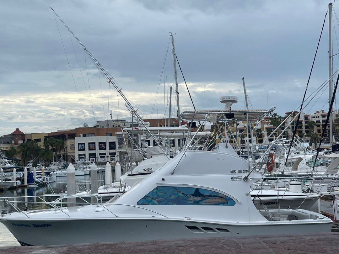 Group Fishing (40 ft) - Imagen 2